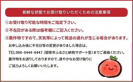 【2026年度予約分】増量約2kg！甘さ抜群!!トマト嫌いでも食べられるトマトベリー 4月～6月発送 野菜ソムリエサミット 金賞 受賞 長田農園 産地直送 トマト とまと 野菜 やさい フルーツ サラ