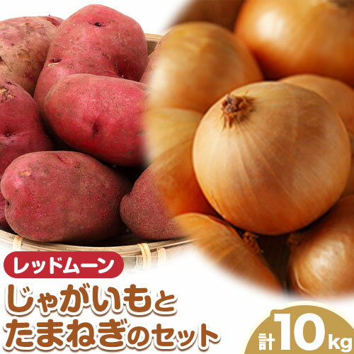【ふるさと納税】じゃがいも（レッドムーン）とたまねぎのセット 合計約10kg 野菜《10月中旬から順次出荷》 橋枝物産 北海道 浦幌町