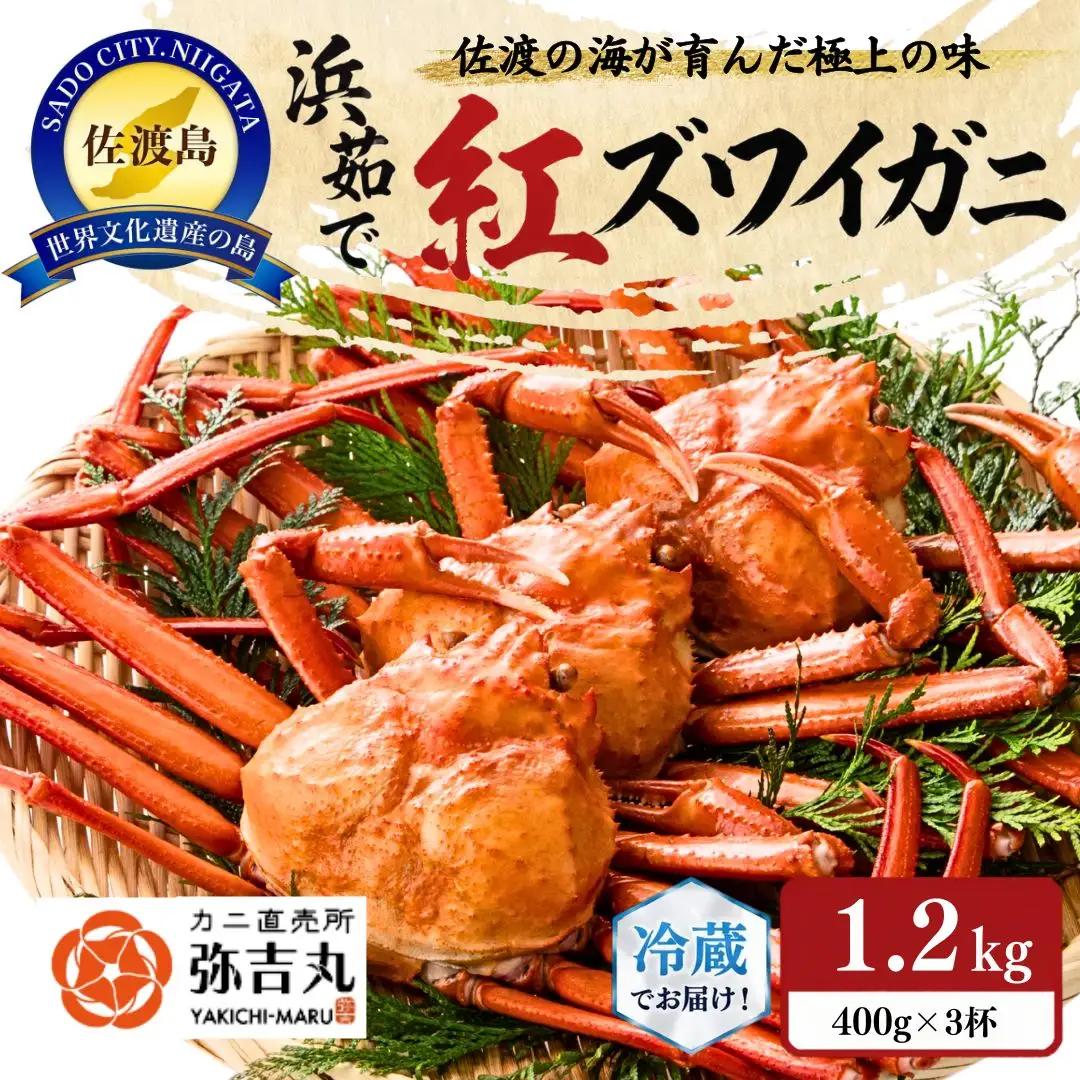 紅ズワイガニ 約1.2キロ 3杯| 新潟県 佐渡市