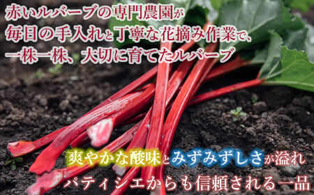 【2026年先行予約 6月より順次発送】赤いルバーブ・フレッシュ 約2.2kg ※配送不可地域あり 野菜 ルバーブ 西洋野菜 食物繊維 カリウム カルシウム ビタミンC アントシアニン かぼちゃん農園