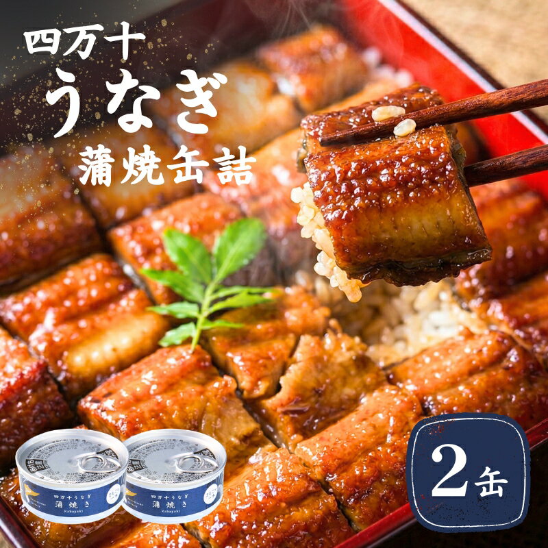 【ふるさと納税】 四万十うなぎ 缶詰 蒲焼 鰻 うなぎ ウナギ 蒲焼き 2缶セット 山椒 高知 海鮮 惣菜 常温保存 うなぎ缶 缶づめ ストック食品 贅沢缶詰 国産うなぎ ご褒美ギフト 2万円 以内 母の日 父の日 ギフト プレゼント[1421]