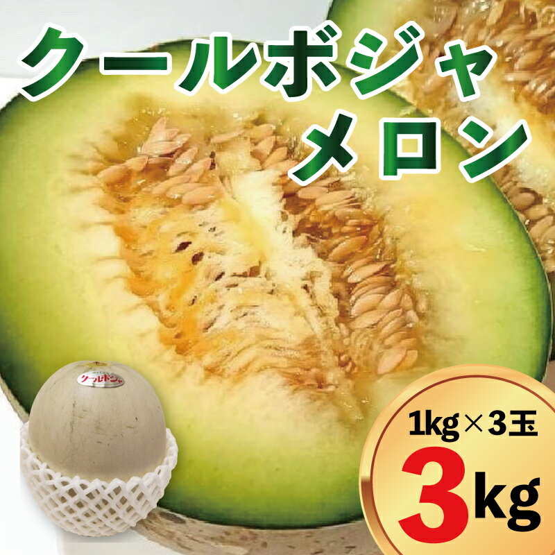 【ふるさと納税】 メロン クールボジャメロン 3kg 3玉 先行予約 希少種 果物 フルーツ デザート グルメ 旬 セット ギフト ご当地 贈り物 数量限定 阿波市 徳島県