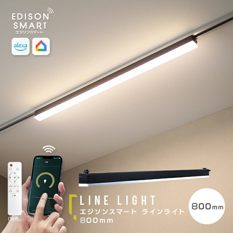 【ふるさと納税】エジソンスマート ラインライト 800mm for ダクトレール ブラック 福岡市