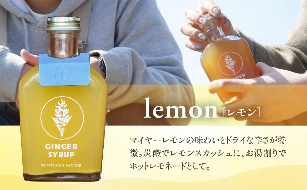 クラフトジンジャーシロップ 3本 飲料