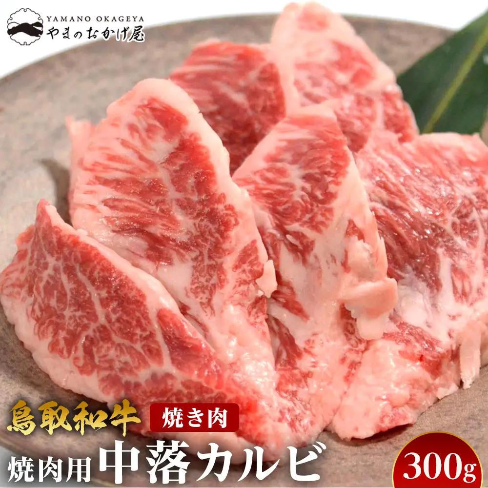 57.鳥取 和牛 焼肉 用 中落 カルビ 300g  | カルビ