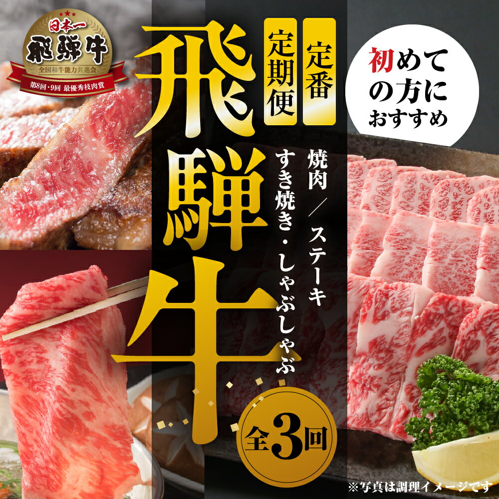 【ふるさと納税】《定期便》全3回 飛騨牛 定番（ステーキ /焼肉 / すき焼き）[飛騨高山ミート] | 冷凍真空パック 肉 お肉 すきやき 黒毛和牛 和牛 人気 おすすめ 牛肉 [MZ102]
