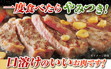 【3回定期便】五島牛 サーロインステーキ500g（250g×2枚） 五島市/肉のマルヒサ[PCV011] 
