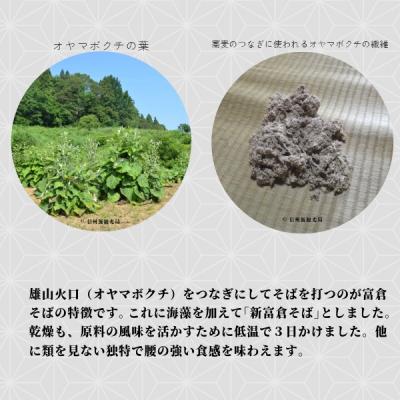 ふるさと納税 飯山市 信州飯山　新富倉そば 960g　(160gx6袋セット) |  | 01