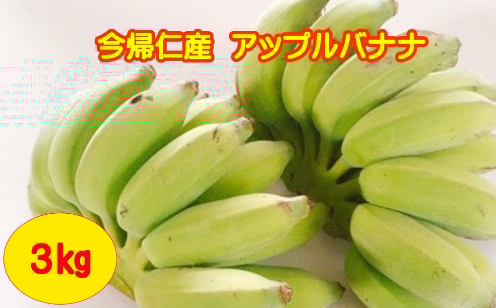 
            今帰仁村産アップルバナナ（農薬不使用）3㎏
          