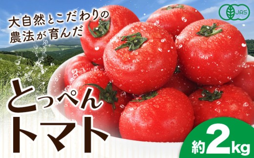 有機JASとっぺんトマト 約2kg 旬 お取り寄せ 詰め合わせ 贈答 ギフト お中元 お歳暮 熊本 阿蘇 産山村 送料無料 トマト 有機《11月上旬-12月末頃出荷》