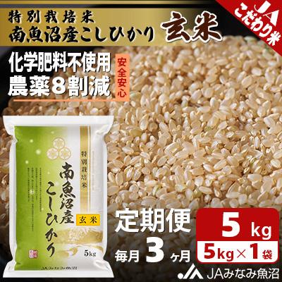ふるさと納税 南魚沼市 【毎月定期便】特別栽培米南魚沼産こしひかり8割減 玄米 5kg全3回