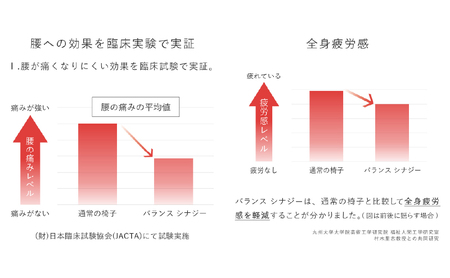 バランス シナジー(カバー付き)ラウンドシート 本体:ブラウン+カバー:ネイビー