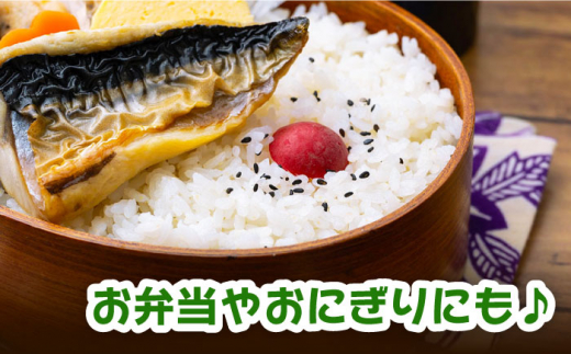 【令和6年産 新米 予約受付中】佐護 ツシマヤマネコ 米 5kg みつめるにゃんBOX セット【24年10月以降順次発送】《対馬市》【一般社団法人MIT】玄米 対馬 精米 減農薬 猫 ギフト [WAP