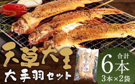 熊本 天草大王 大手羽6本（3本×2） 手羽 鶏肉 肉 鶏 地鶏 バーベキュー 串 国産 冷凍 熊本県 人吉市