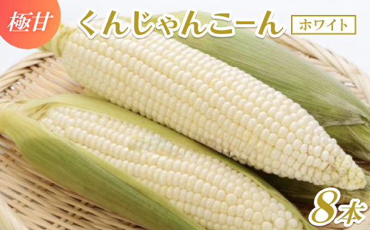 
                  【2027年4月上旬から順次発送】春獲れ一番!極甘くんじゃんこーん ホワイト 8本 とうもろこし_とうもろこし トウモロコシ ホワイト コーン 甘い 野菜 ギフト プレゼント 産直 産地直送 沖縄県 国頭村 送料無料【1578629】
                