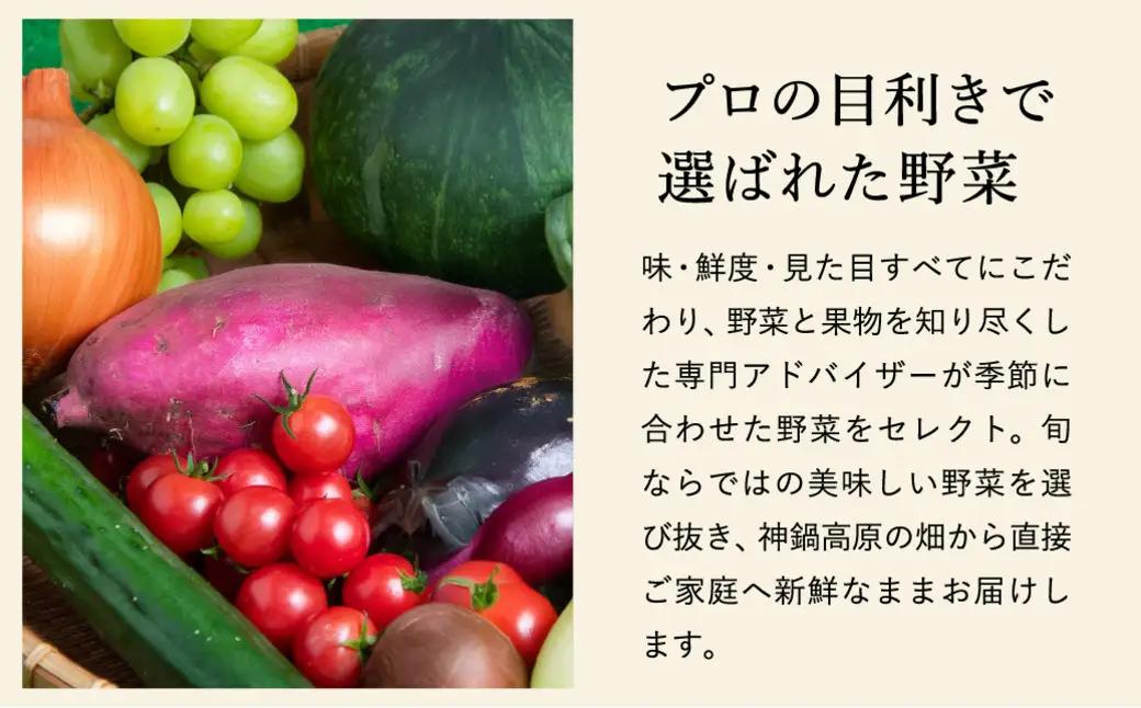 神鍋高原 季節の新鮮野菜 詰め合わせ 5～10品