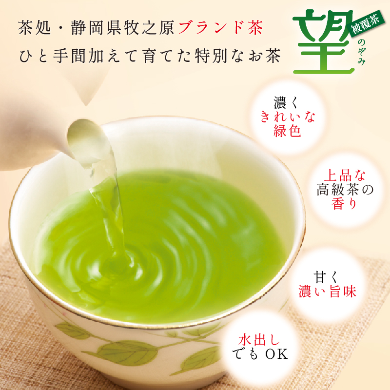 048-82　静岡牧之原市ブランド茶　望　銀印　ペットボトル用ティーパック（3.3ｇ×20包）5袋