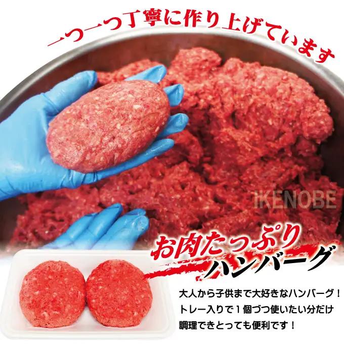 国産牛冷凍生ハンバーグ（130g×16個） 牛 小分け 【ハンバーグ】【ho1746】