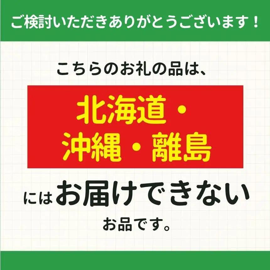 一泊ドック（プレミアム） 