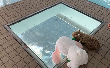 ぬいぐるみ旅行 鳴門のうず潮ツアー　鳴門　観光　ぬいぐるみツアー　すだちくん　思い出　旅行