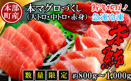 【数量限定】本部町産 本マグロづくし（大トロ・中トロ・赤身）約800g～1000g マグロ クロマグロ マグロ 鮪 マグロ