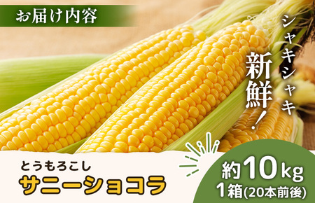 【2026年度発送分】上原農場直送 有機栽培とうもろこし (サニーショコラ) 約10kg 約20本前後【6602001】