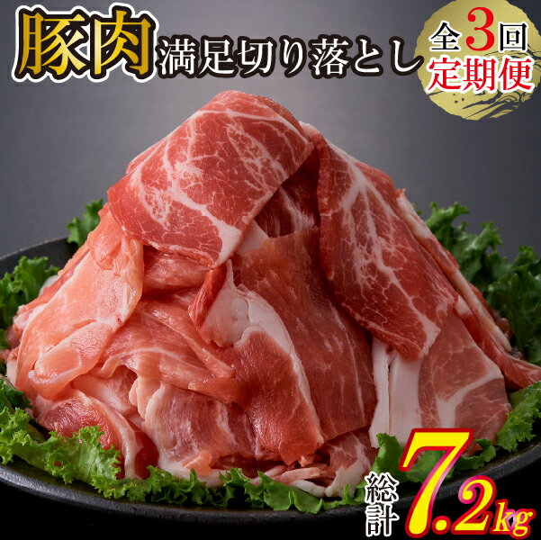 【ふるさと納税】【定期便・全3回】九州産 豚肉満足 切り落とし 定期便 豚肉 切り落とし 小間切れ 定期便 国産豚 豚 肉 お肉 小分け 冷凍 ふるさと 人気 おすすめ 贈答 ギフト お裾分け プレゼント 精肉 宮崎県 小林市 送料無料