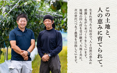 【先行予約！】【3回定期便】令和7年度産 ハツシモ10kg　～水の都大垣の豊富な湧き水で育ったお米 ～