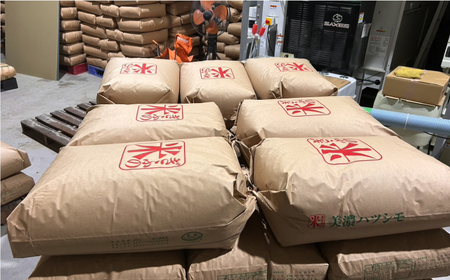 令和7年産 ハツシモ 玄米 10kg 腸活 ヘルシー 米 ブランド米 岐阜市 / 川瀬ファーム[ANIB004]