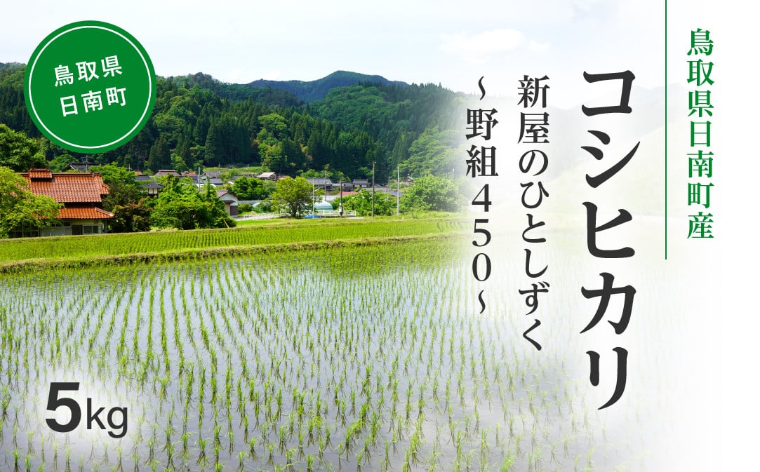 
            令和7年産 新米 先行予約 鳥取県日南町産コシヒカリ 5kg 新屋のひとしずく ～野組450～ 米 お米 おこめ 精米 こしひかり
          
