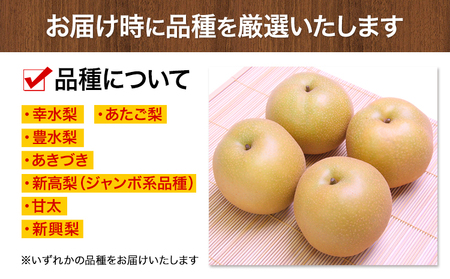 先行予約 梨 荒尾梨 梨予約 約4kg なし フルーツ 果物 新鮮《2024年8月下旬‐11月中旬頃出荷》訳あり 熊本県 荒尾市産 デザート 旬の梨 幸水 豊水 あきづき 他4種 合計7種のいずれかを