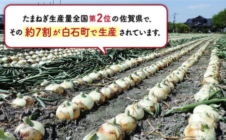 【玉ねぎの名産地！】白石産新たまねぎ 約5kg【道の駅しろいしカンパニー】 [IAA030]