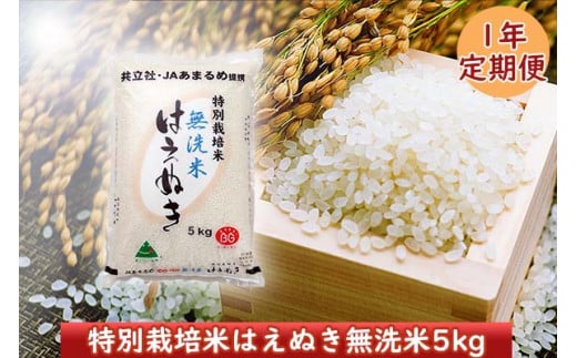 ＜12月開始＞庄内米１年定期便！ 特別栽培米はえぬき無洗米5kg（入金期限：2024.11.25）