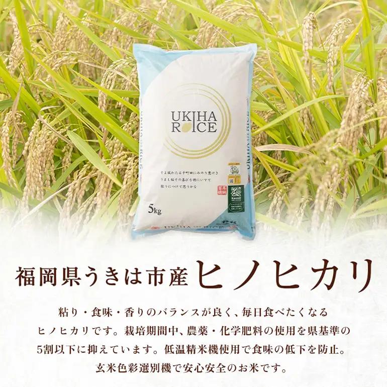 【12ヶ月定期便】 米 玄米 UKIHA RICE 5kg×12回 特別栽培米 計60kg ヒノヒカリ 令和8年産 新米 みずほファーム A06-014