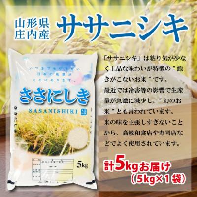 ふるさと納税 酒田市 【令和7年産米】【山形県庄内産】ササニシキ5kg×1袋 精米 |  | 02