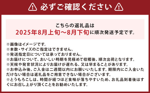 北海道産 とうもろこし 恵味 2Lサイズ 22本 約8kg 1箱 国産 トウモロコシ 冷蔵 【2025年8月上旬-8月下旬迄発送予定】_イメージ2