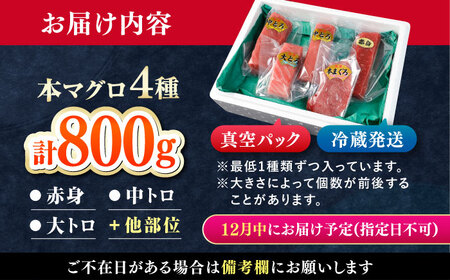 【12月中にお届け】対馬産 生 本マグロ 800g （赤身、中トロ、大トロ）《対馬市》　【対海】 中トロ 大トロ まぐろ マグロ 鮪[WAH026-12]