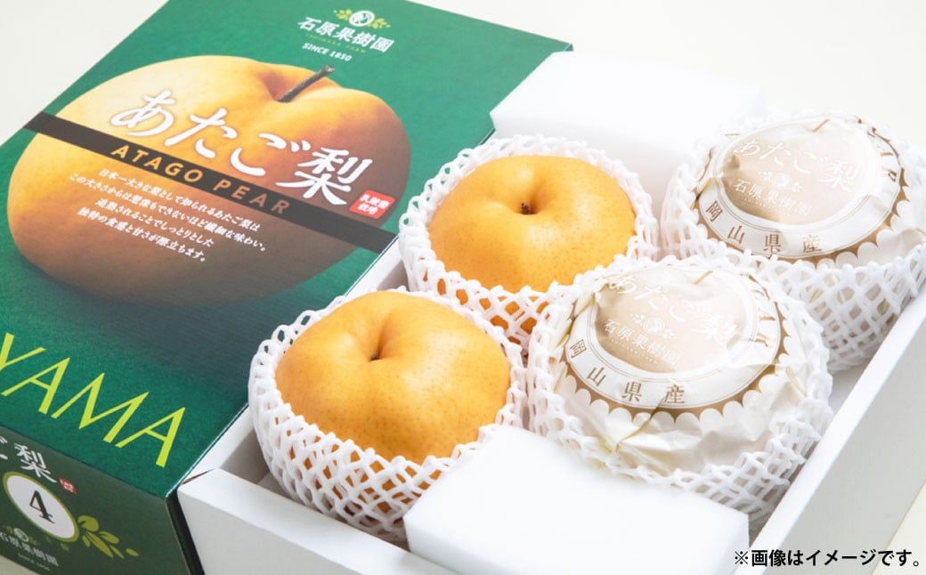 
            あたご梨 4～9玉 合計約4kg 化粧箱 ／ 愛宕梨 梨 なし ナシ 果物  【2025年11月下旬～12月下旬発送予定】
          