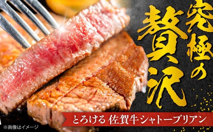 【全5回定期便】総計 3kg 佐賀牛 （シャトーブリアン & ヒレ 各 600g）（2ヵ月に1回お届け）