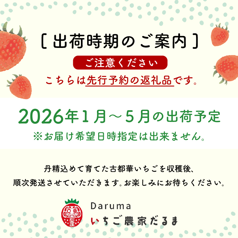 【予約販売開始！】厳選 大ちゃんの 古都華（２７０ｇ入×４パック）限定出荷 いちご 苺 奈良ブランド苺 イチゴ ブランド 古都華 大粒 苺 旬 産地 直送 フレッシュ フルーツ 果物 国産 ベリー 贈