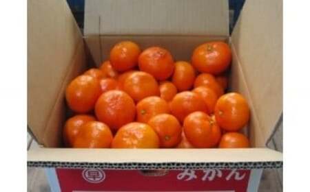L-106　早津みかん園　山下紅みかん３kg　みかん ミカン 蜜柑 たらみかん 太良みかん 温州みかん 紅みかん 完熟みかん 甘熟 柑橘 国産 佐賀県産 太良町 こだわり 有機栽培 産地直送 贈答品 詰め合わせ 極甘