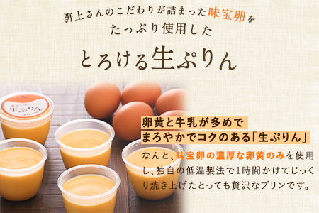 たまご屋さんの生ぷりん5個セット (150ml×5個) 送料無料 野上養鶏場《60日以内に出荷予定(土日祝除く)》味宝卵使用 プリン