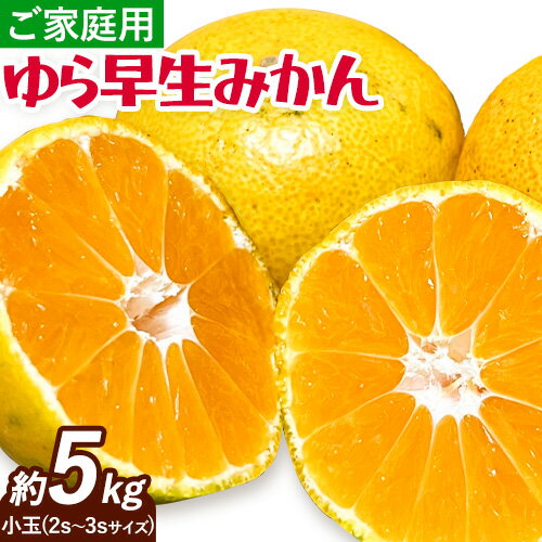 【ふるさと納税】みかん ゆら早生みかん ご家庭用 5kg 小玉 2S～3Sサイズ GOGO農園《10月上旬-11月下旬頃出荷》 和歌山県 日高川町 ゆら早生みかん みかん 早生 柑橘 蜜柑 フルーツ 送料無料