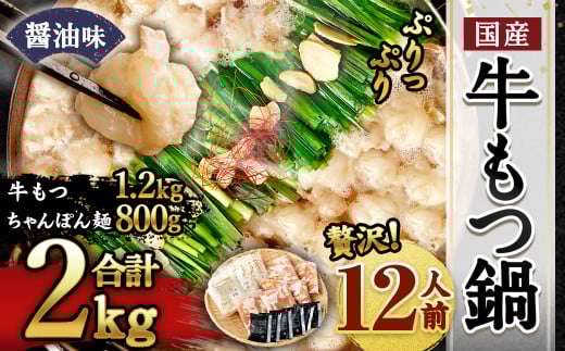 国産 牛もつ鍋 12人前 ちゃんぽん 濃縮スープ付（醤油味）