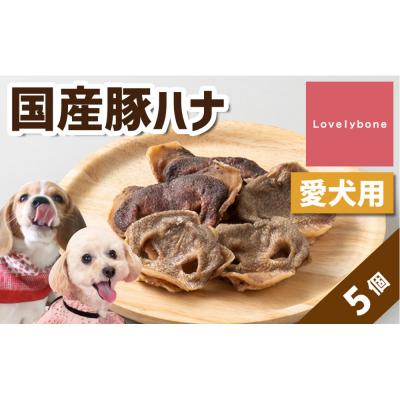 ふるさと納税 名古屋市 精肉店がこだわった　犬のおやつ【一頭に一つだけの超希少部位】国産豚ハナ　5個