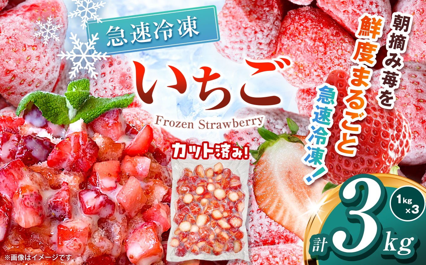 
            【栃木県共通返礼品】冷凍いちご 3kg | いちご とちあいか 冷凍 冷凍イチゴ スイーツ ジャム スムージー たっぷり 大粒  甘い 美味しい 果物 デザート 栃木県 那珂川町 送料無料
          