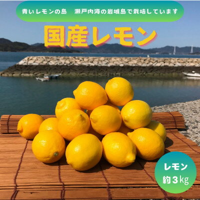 【ふるさと納税】【先行予約2026年1月発送～】青いレモンの島　国産レモン(イエロー)約3kg【1651415】