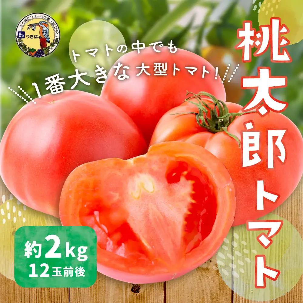 【先行予約】トマト 桃太郎トマト 約2kg 12玉前後 道の駅うきは