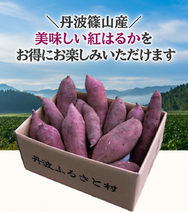 丹波ふるさと村の紅はるか 5ｋｇ（サイズ未選別） | 兵庫県 丹波篠山市 さつまいも サツマイモ さつま芋 甘い ホクホク 焼き芋 焼芋 焼いも おいしい 美味しい ねっとり 天ぷら ポテト