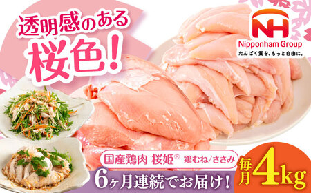 【全6回定期便】桜姫ヘルシーセット 計4kg 鶏むね・ささみ 各2kg 国産 鶏肉 定期便 ムネ ササミ 冷凍 北海道 [AXBM060]